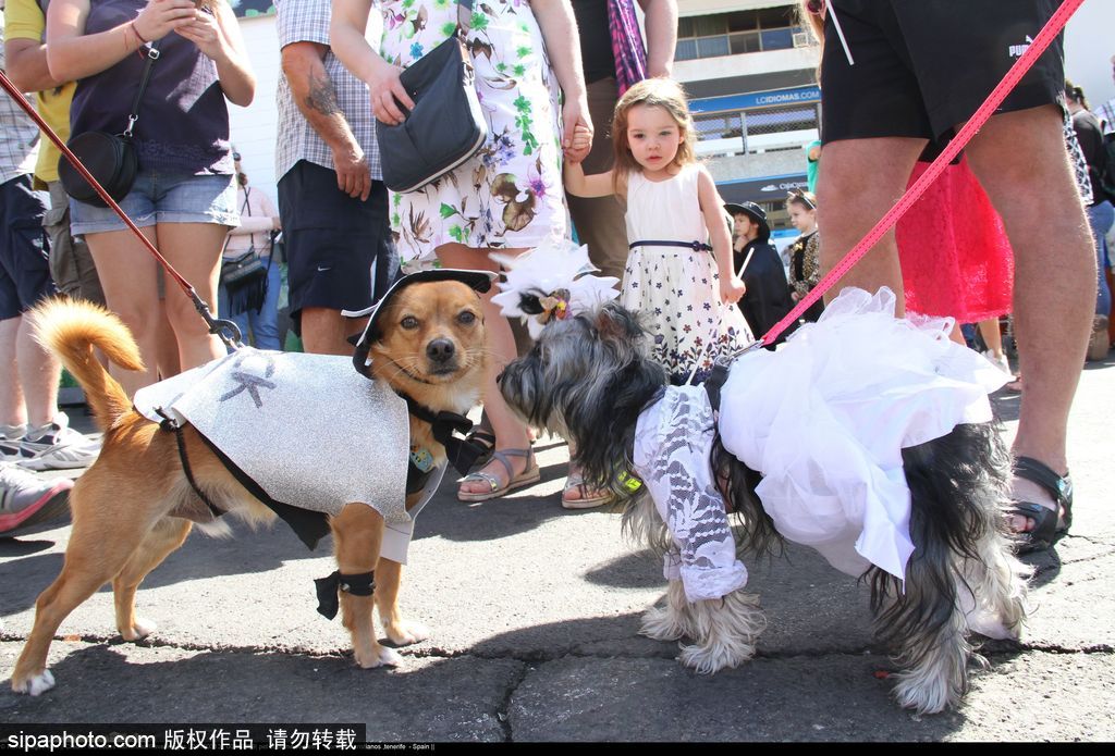 腦洞大過(guò)天！盤(pán)點(diǎn)全球各類(lèi)奇葩比賽