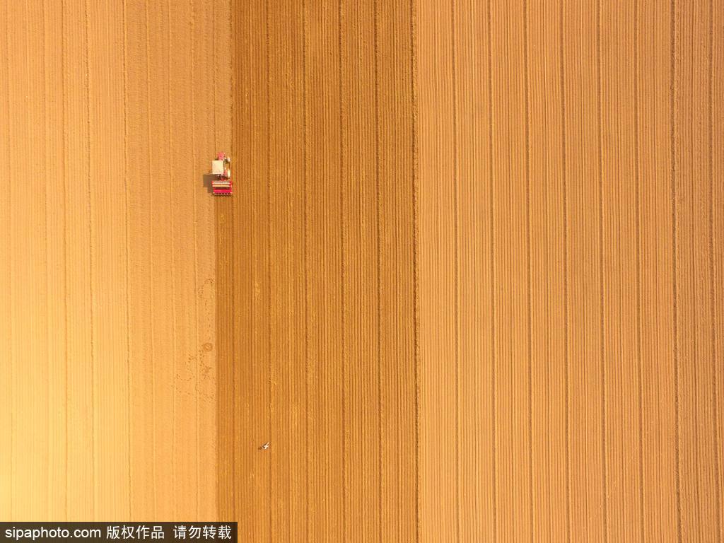 春回大地草木萌動(dòng) 盤點(diǎn)那些農(nóng)田光景返樸歸真