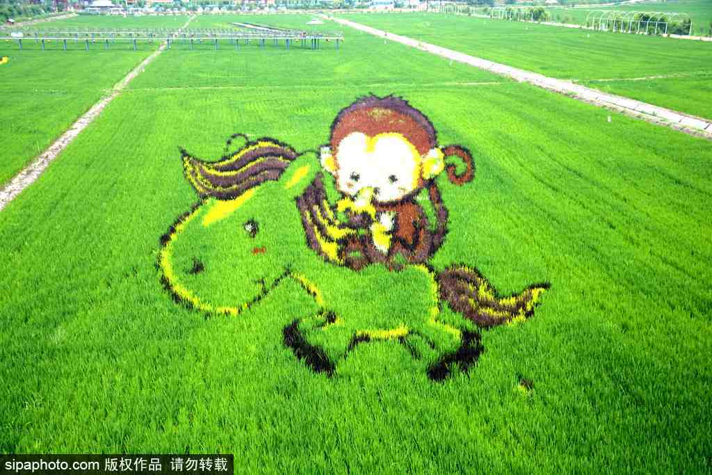 春回大地草木萌動 盤點那些農田光景返樸歸真