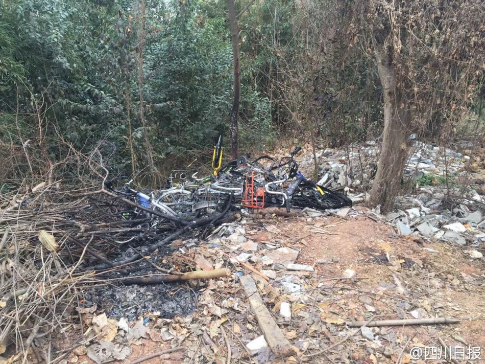 成都共享單車被燒毀 盤點N種被“玩壞”的共享單車