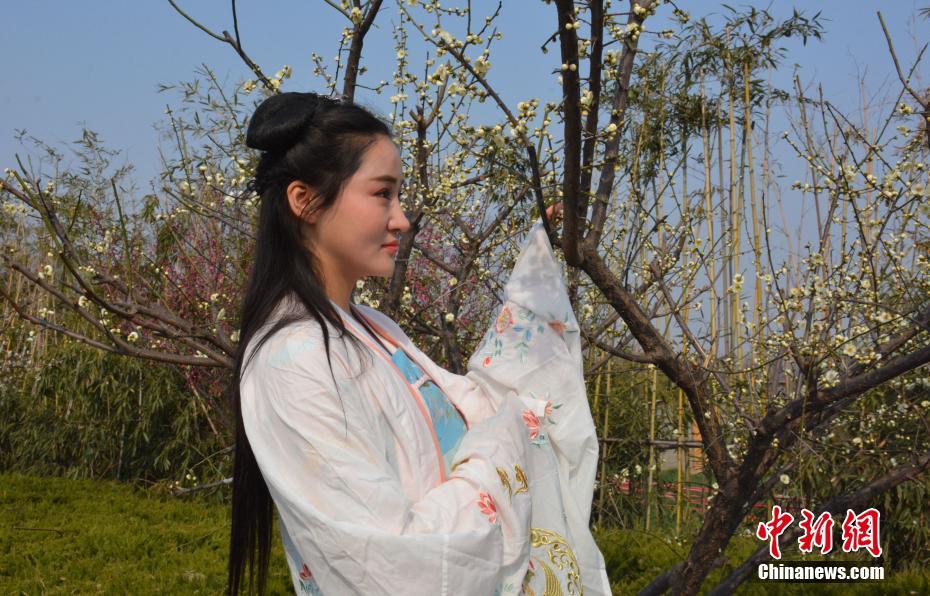 徐州梅花姹紫嫣紅迎春來 古風漢韻穿越秀（組圖）