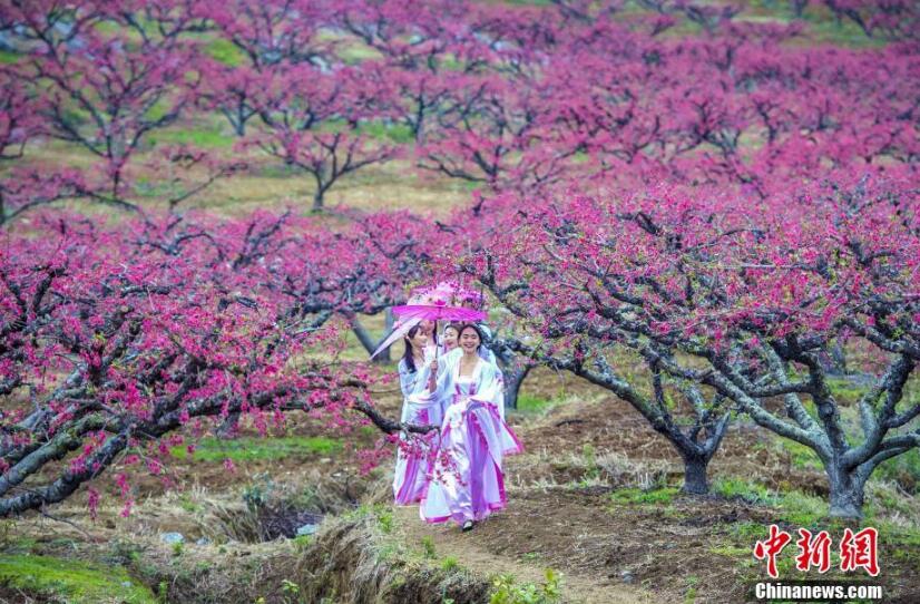 廣東大學(xué)生扮演古人穿越 呼吁重視古詩(shī)詞[組圖]