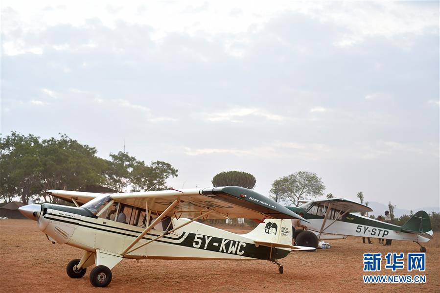 肯尼亞對野生動物進行“人口普查” 包含數量、遷徙路線和資源數據