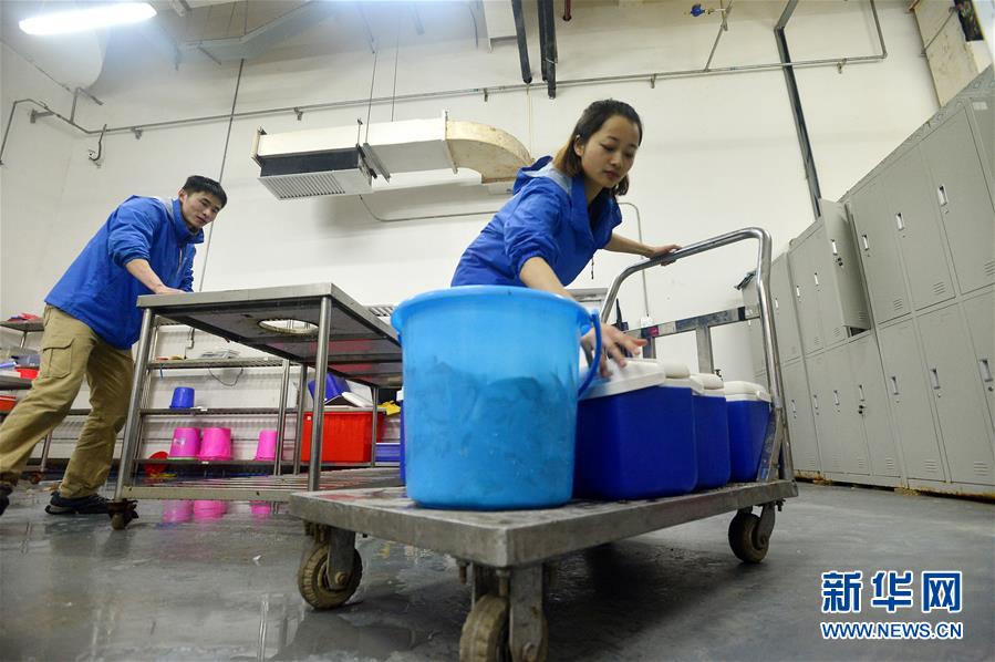 “海豚姑娘”的藍(lán)色追夢(mèng)之旅