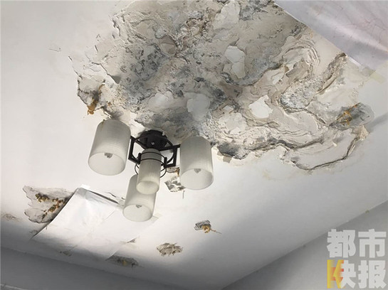 新房頂層八家住戶六家漏水 業(yè)主住進“水簾洞”（圖）