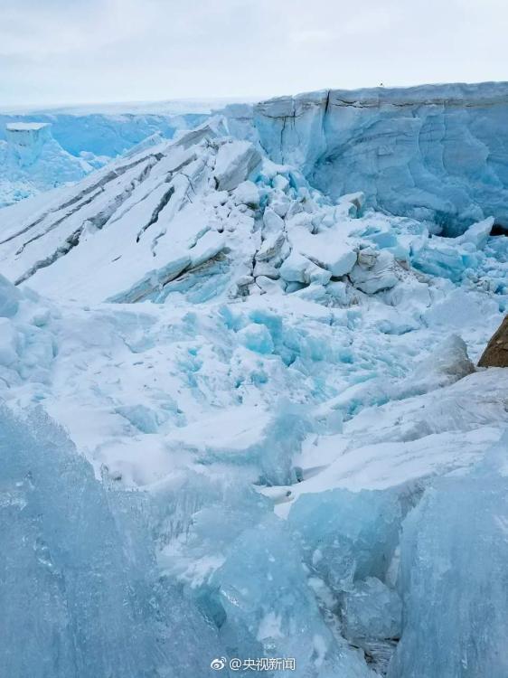 直擊二月南極風光 有極光有萌寵（組圖）