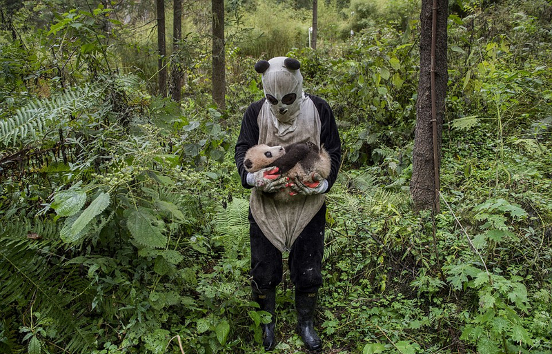 2017年索尼世界攝影獎入圍佳作 張張打動人心[組圖]