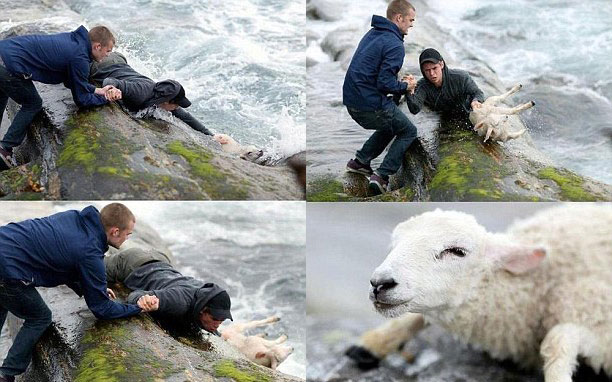 人間自有真情在！鏡頭記錄全球溫情瞬間（組圖）