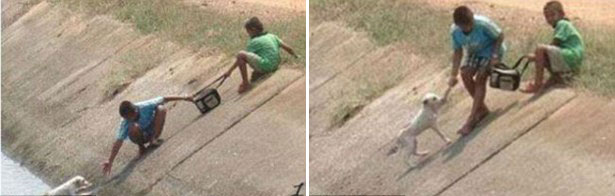 人間自有真情在！鏡頭記錄全球溫情瞬間（組圖）