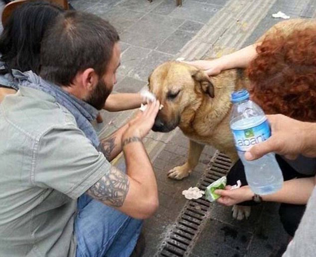 人間自有真情在！鏡頭記錄全球溫情瞬間（組圖）