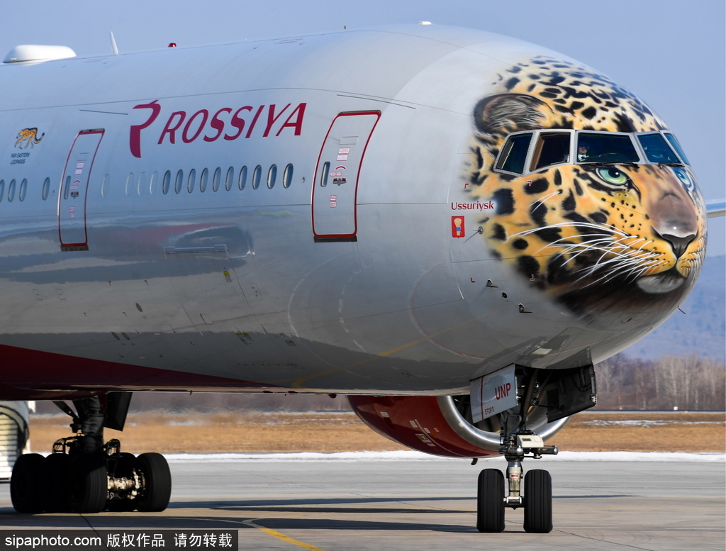 一頭豹子飛過來！俄羅斯飛機(jī)繪遠(yuǎn)東豹圖案萌態(tài)十足