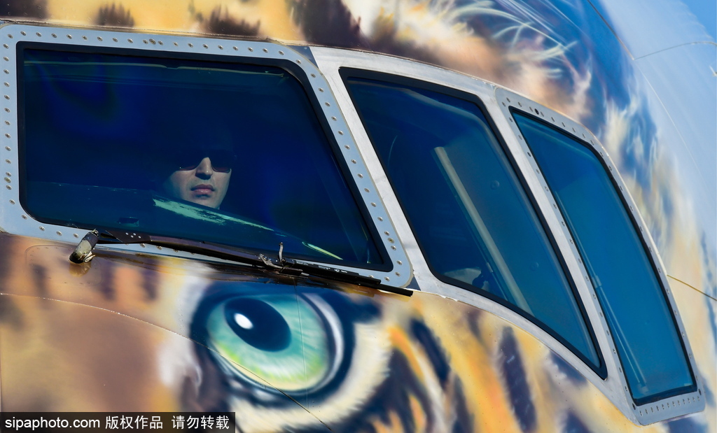 一頭豹子飛過來！俄羅斯飛機繪遠東豹圖案萌態十足