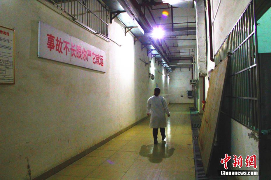 探訪廣西90后女遺體化妝師 堅守五年護送逝者最后一程（組圖）