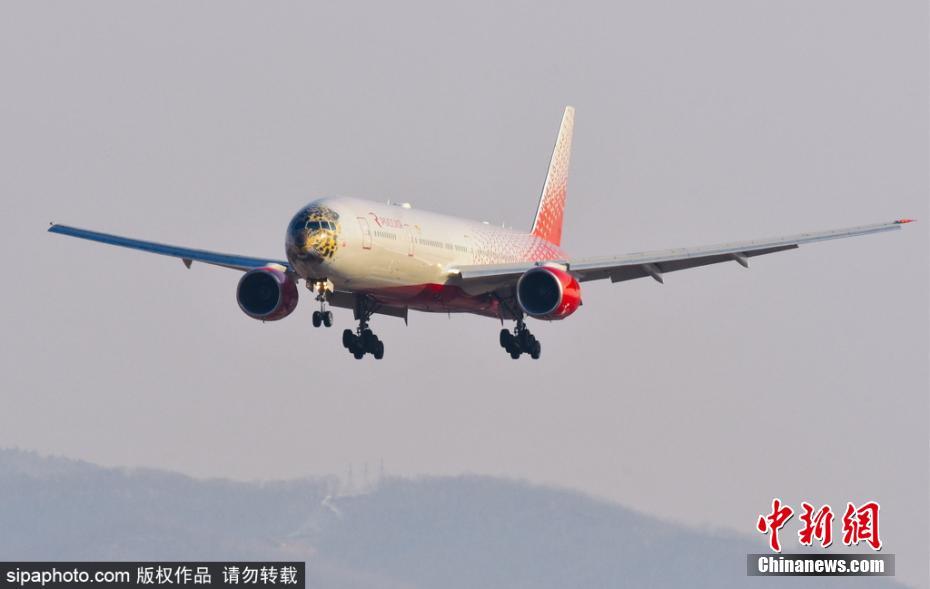 帥到爆表！俄航推遠(yuǎn)東豹彩繪飛機(jī) 喚起豹類(lèi)保育