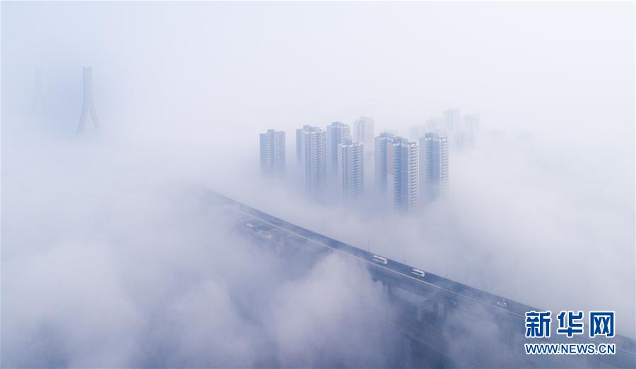 人間仙境！武漢現大霧天氣 高架橋宛如天路(組圖)