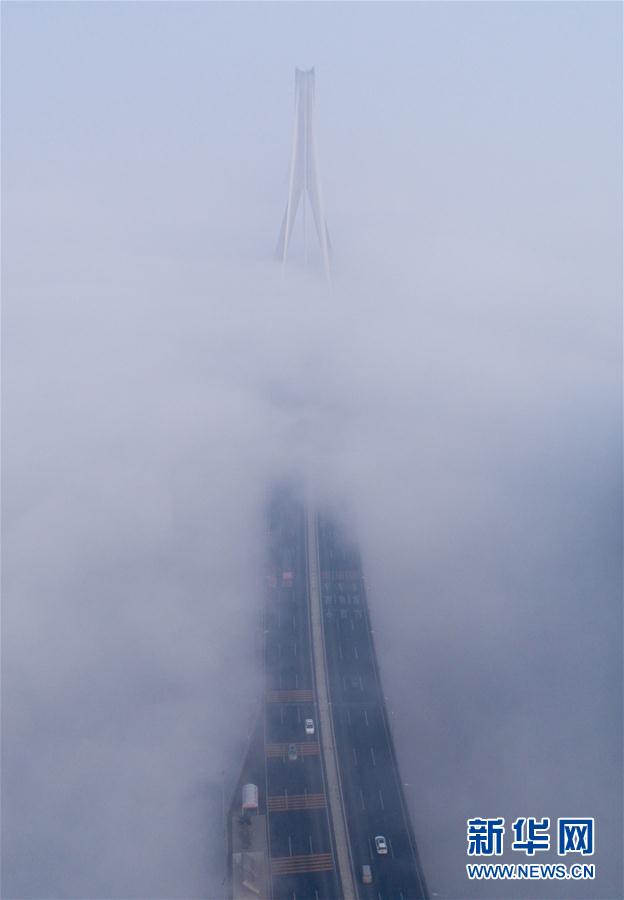 人間仙境！武漢現(xiàn)大霧天氣 高架橋宛如天路(組圖)