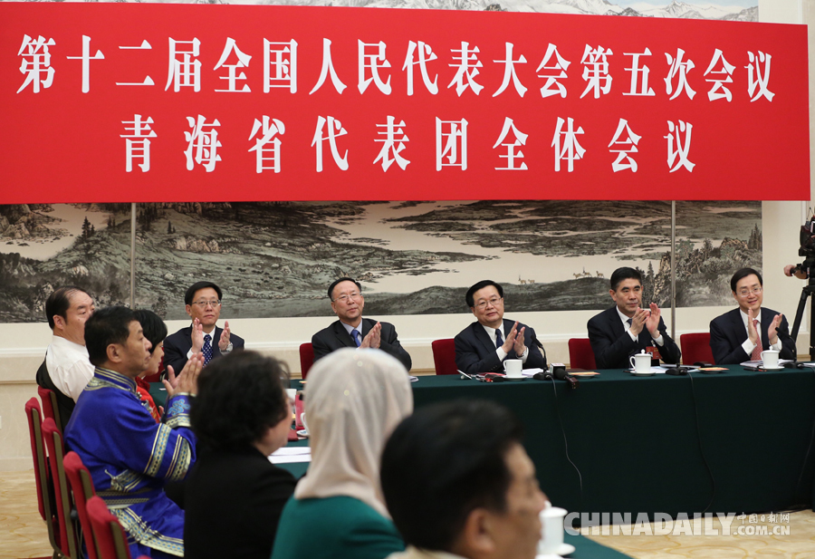 青海代表團(tuán)全體會(huì)議向媒體開放