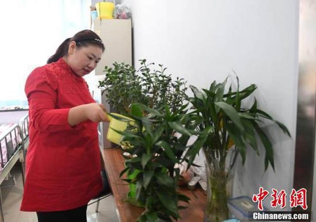 30歲女子一年瘦231斤 到底發生了什么？