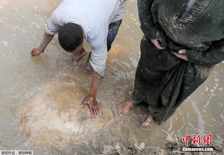 埃及貧民窟現3000年前法老雕像（組圖）