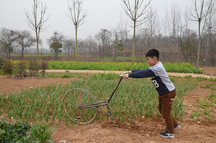 高手在民間！河南大爺改裝單車鋤地（圖）