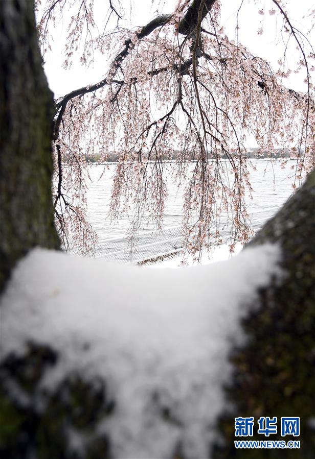 美國東北部遭遇暴風(fēng)雪 數(shù)千航班取消（組圖）