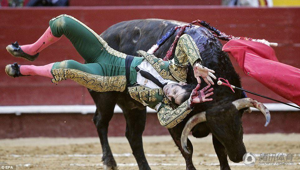 傳奇斗牛士重傷送醫(yī) 被牛挑起假眼飛出