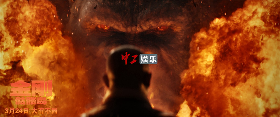 好評不斷！《金剛：骷髏島》群獸亂戰(zhàn)視效壯觀 最大金剛觸動人心