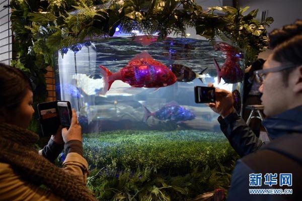 恐龍機(jī)器人是服務(wù)員！ 日本現(xiàn)“奇異賓館”（組圖）