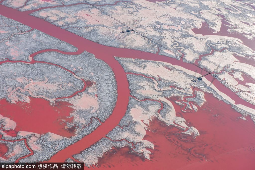 這才是上帝的調色盤！航拍美國鹽蒸發池色彩繽紛