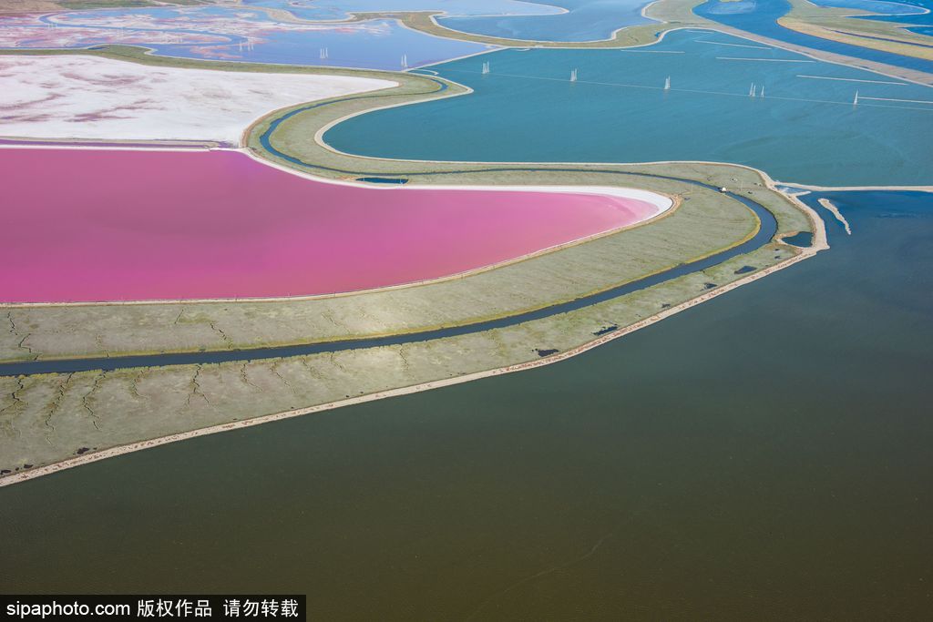 這才是上帝的調(diào)色盤(pán)！航拍美國(guó)鹽蒸發(fā)池色彩繽紛