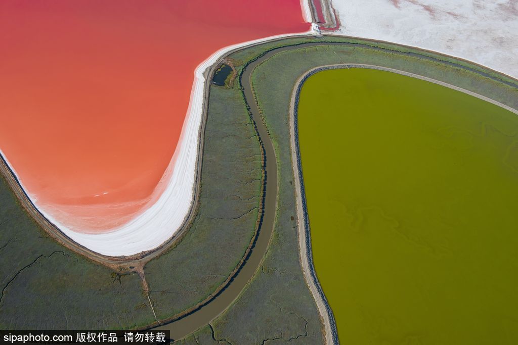 這才是上帝的調色盤！航拍美國鹽蒸發池色彩繽紛