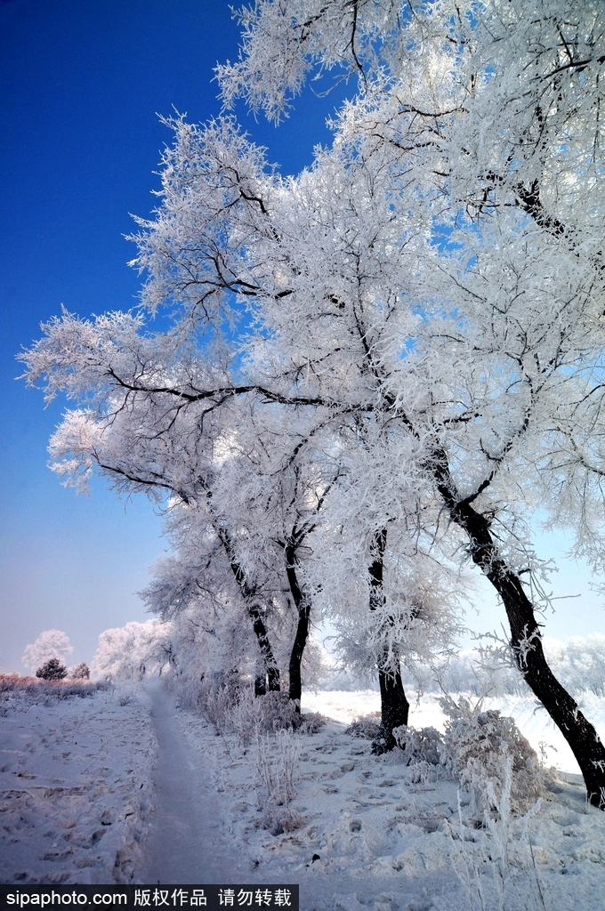 這個冬季太漫長？ 盤點霧凇冰掛美景讓你忘記季節時間