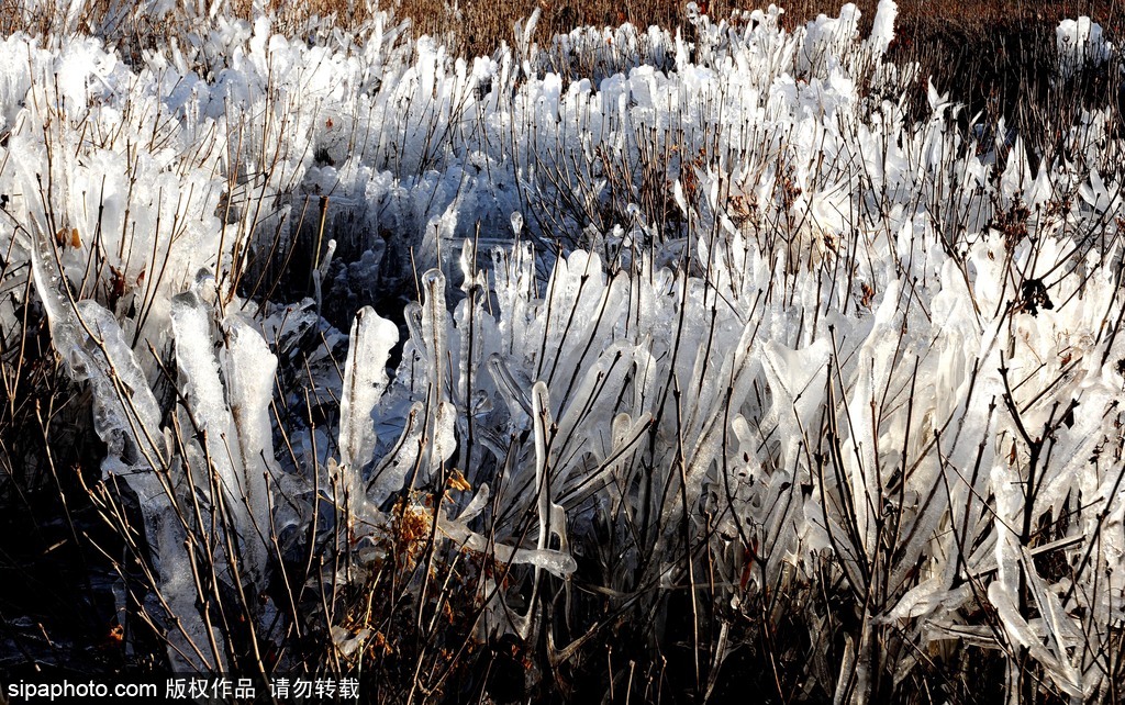 這個冬季太漫長？ 盤點(diǎn)霧凇冰掛美景讓你忘記季節(jié)時間