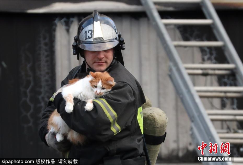 有愛！公寓樓天然氣爆炸 消防員救出被困小貓