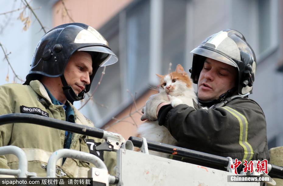 有愛！公寓樓天然氣爆炸 消防員救出被困小貓