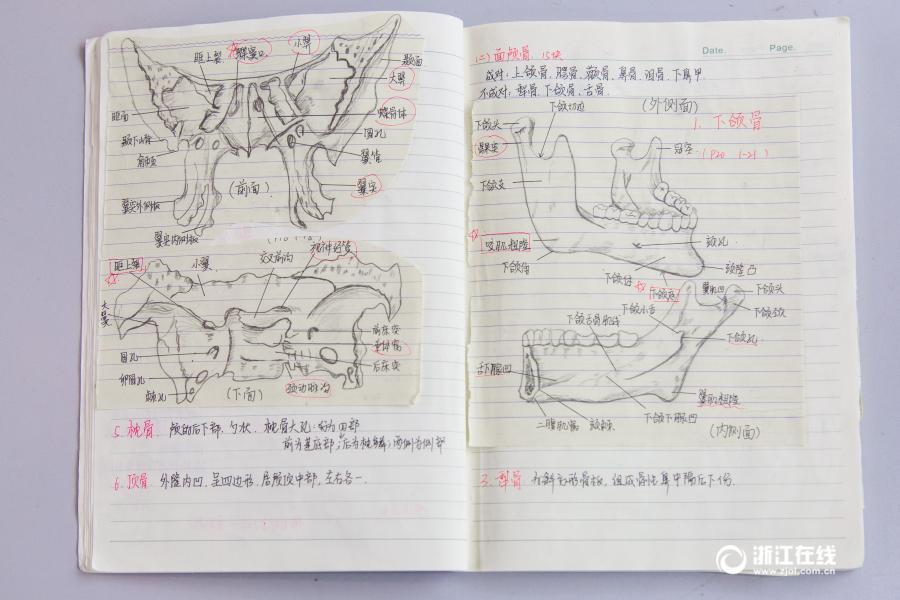 厲害了妹子！杭州大二女生解剖學(xué)筆記驚艷走紅