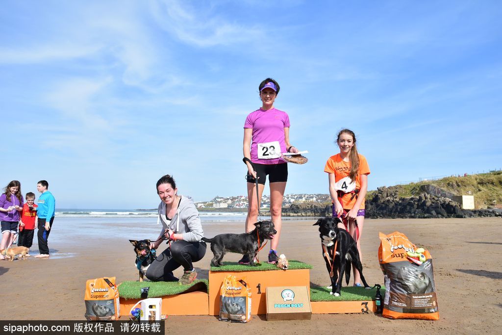 北愛(ài)爾蘭舉行趣味沙灘賽跑 主人帶狗同跑歡樂(lè)不斷