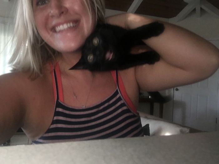 喜歡捉弄愛寵嗎？看看這些奇葩是怎么玩的