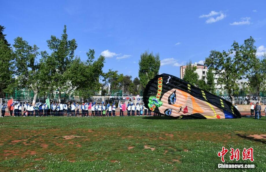 各類風箏昆明藍天下“斗艷”