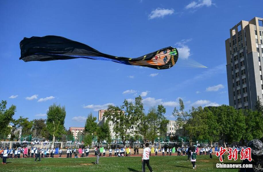 各類風箏昆明藍天下“斗艷”