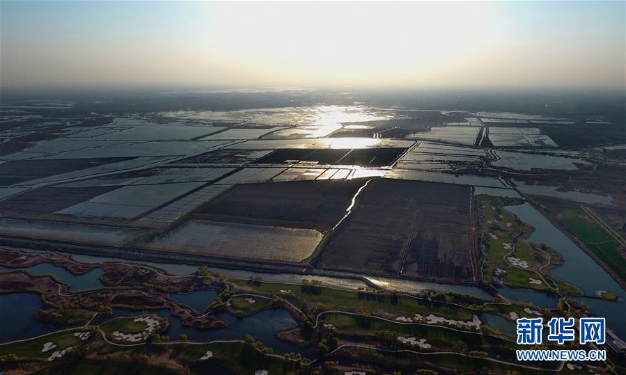 中共中央、國(guó)務(wù)院決定設(shè)立河北雄安新區(qū)