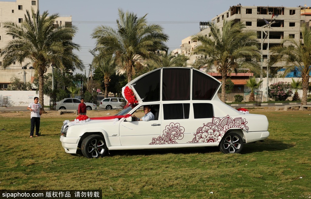 現代版“灰姑娘的南瓜馬車”：巴勒斯坦一男子別出心裁 改裝出華麗婚車