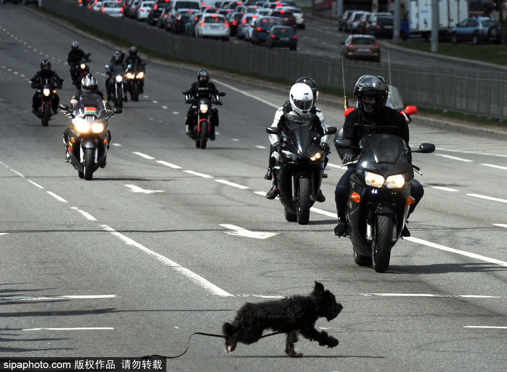 白俄羅斯舉行摩托車游行場面壯觀 騎手蝙蝠俠造型酷炫亮相