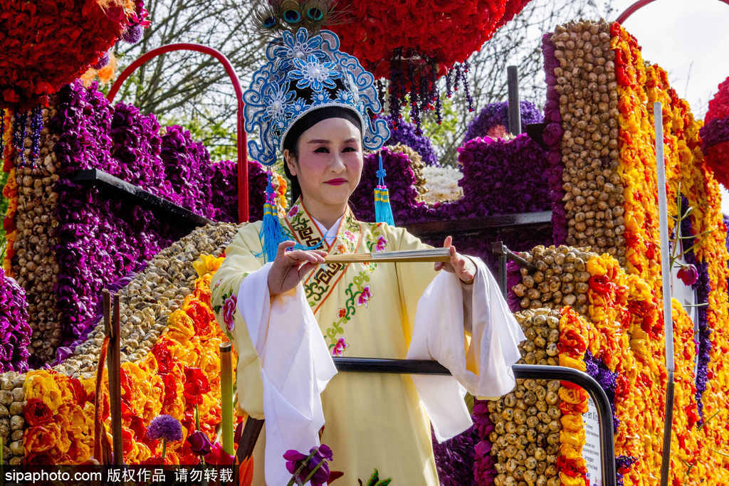 荷蘭小鎮利瑟迎來花車游行活動 鮮艷亮麗十分奪目