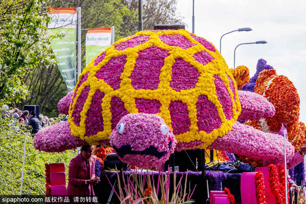 荷蘭小鎮利瑟迎來花車游行活動 鮮艷亮麗十分奪目