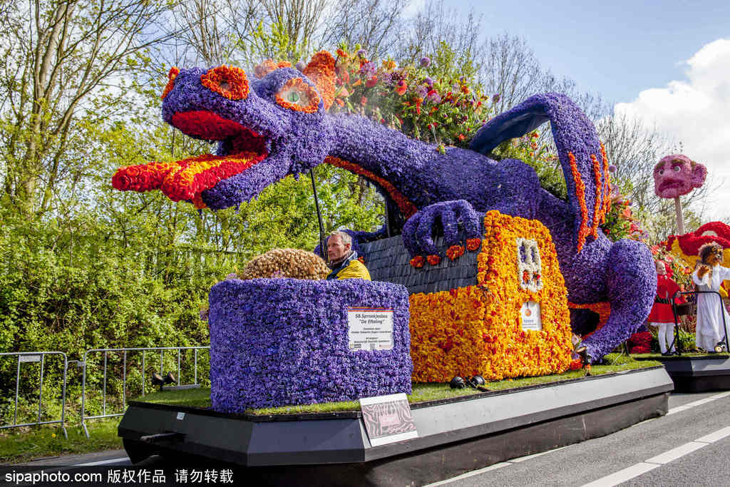 荷蘭小鎮利瑟迎來花車游行活動 鮮艷亮麗十分奪目