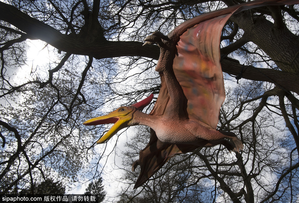 再現(xiàn)侏羅紀(jì)王國(guó) 倫敦奧斯特利公園舉辦互動(dòng)恐龍模型展