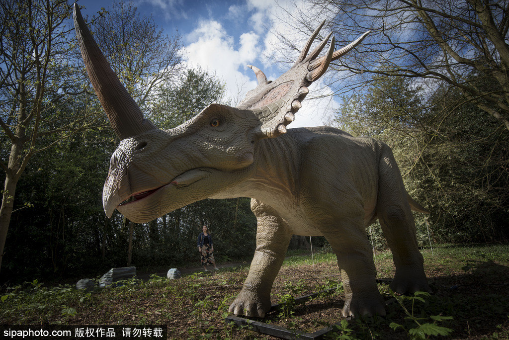 再現(xiàn)侏羅紀(jì)王國 倫敦奧斯特利公園舉辦互動恐龍模型展