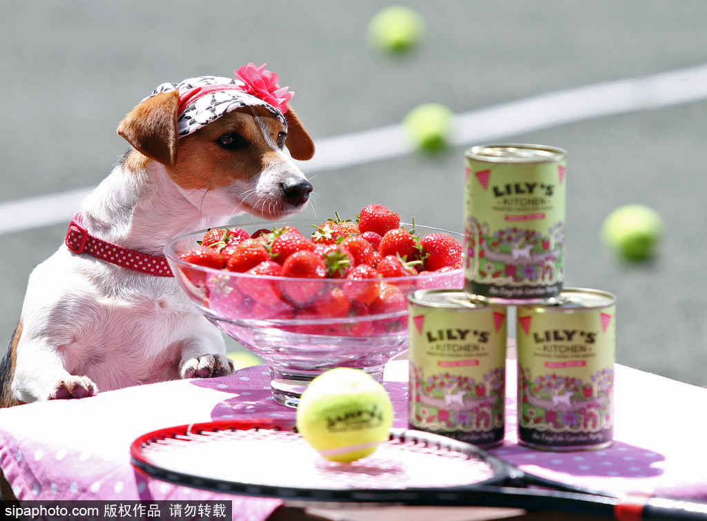 世界這么大！不一定要去迪拜撿垃圾 盤點世界奇葩工種