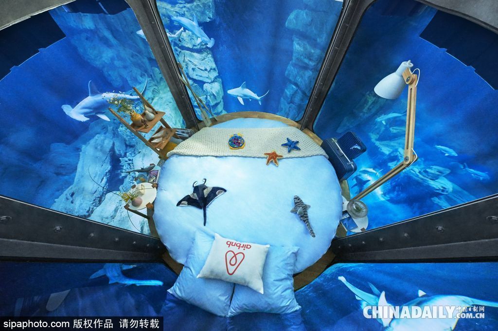 拼的就是創(chuàng)意 盤點(diǎn)水下世界趣聞不斷